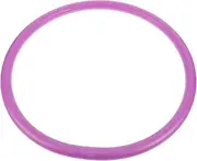 Arm Hoop Exercise for Women Workout Arm Hoop Portable Fitness Yoga Accessory for Muscle Building