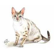 ✿ ORIGINAL Oil Cat Portrait Painting SNOW BENGAL Artist Signed Artwork on Canvas