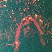 Turnover Peripheral Vision Vinyl