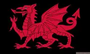 PACK OF 4 WELSH DRAGON BLACK mini flag 9" x 6" 22cm x 15cm flags WALES