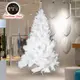 【摩達客】台灣製7尺/7呎(210cm)特級白色松針葉聖誕樹裸樹 (不含飾品)(不含燈)