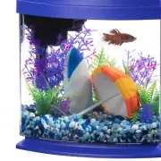 Compact LED MiniBow Fish Tank Kit - SmartClean 1 Gallon, Ideal for Desktop Use