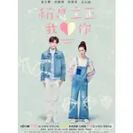 台劇 稍息立正我愛你 DVD【國語中字】【邱勝翊 曾之喬】全新盒裝 5碟