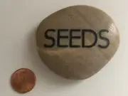 POLISHED STONE ROCK MINERAL PAPERWEIGHT “SEEDS”