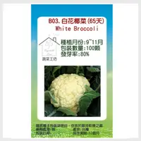 在飛比找PChome24h購物優惠-【蔬菜之家】B03.白花椰菜(65天)種子