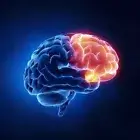 Brain Boost - GINKGO BILOBA Extract 120mg - Mental Clarity - 1 Bottle