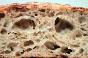 TANGY, san francisco, sourdough, starter, yeast, baking, bread/rolls/ect bonanza
