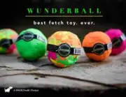 WUNDERBALL Best Dog Ball Fetch Toy Cleans Teeth Floats Indestructible Wacky