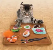Kong Pull a Partz cat toy - Sushi 5-in- 1 catnip toy - NEW