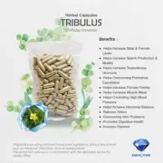 200 x 600mg Capsules Tribulus Terrestris for Premature Ejaculation