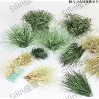 在飛比找蝦皮購物優惠-🌟Silin優選🌟5件裝假草蒲草仿真草人造草景觀裝飾芒草蘆葦