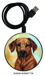 Rhodesian Ridgeback Zoomies Phone and Device Charger