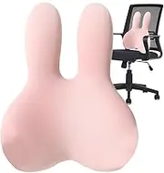Lumbar Support Pillow for Chair,Back Cushion with Adjustable Shoulder Straps | Sitting Posture Correction Cushion for Adults, All Ages, Friends