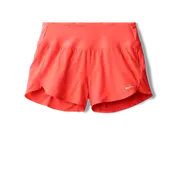 Chaser 3" Short 2.0
