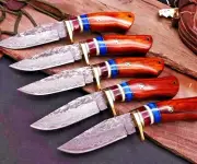 custom handmade beautiful Damascus steel knives lot of 5 AK 12