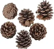 6pcs Pinecone Wedding Decorations Pine Cones Tree Ornaments Natural Pine Cone Small Pinecones Christmas Tree Ornament Rustic Decor Gold Decor Christmas Pine Cone Crafts Artificial
