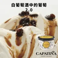 在飛比找蝦皮商城優惠-【CAPATINA義式冰淇淋】白葡萄酒中的葡萄2.0冰淇淋分