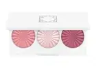 OFRA Cosmetics Midi Palette Blossom Blush NIB
