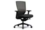 OL Lucca Mesh Back Task Chair