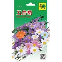 在飛比找momo購物網優惠-【翠筠用品】花卉種子E組