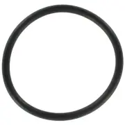 AWP3166 APEX Water Pump Gasket for VW Audi TT Quattro A4 Volkswagen Eos Jetta A3 (for: Volkswagen)