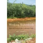 WORKING WATERSHEDS: WATER AND ENERGY IN THE LACKAWANNA VALLEY