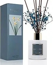 Cocorrína Premium Reed Diffuser Set with Preserved Baby's Breath & Cotton Stick Cashmere Vanilla | 6.7oz Scent Fragrance Oil Diffuser for Bedroom Bathroom Living Room Home Décor