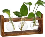 Plant Terrarium,Hydroponics Plants Vase,Bud Planter,Hydroponic Small Vase,Plant Glass Bottle,for Plant Lovers,with Wooden Stand for Home/Office Decor (3 Bulb Containers)