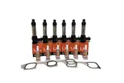 SWAN Ignition Coils, NGK Spark Plugs & Gaskets: Holden Captiva Maxx