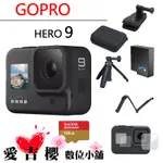 GOPRO HERO9 HERO9 GOPRO9 運動 攝影機 公司 128G+ ADBAT-001 AFAEM-001