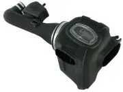 aFe 51-76101 MagnumFORCE Intakes Pro Dry S for 04-14 Nissan Titan V8 5.6L (for: Nissan)