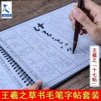 在飛比找Yahoo!奇摩拍賣優惠-促銷打折 王羲之草書十七帖水寫布套裝成人書法臨摹練習水寫毛筆