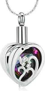 BIAIHQIE Dolphin Heart Urn Necklace Cremation Jewelry for Ashes Crystal Memorial Pendant Loved Ones Ashes Holder Keepsake for Women Girl-Silver-Colorful
