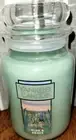 Yankee Candle ALOE & AGAVE 22 oz Single Wick Large Jar Candle