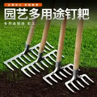 在飛比找樂天市場購物網優惠-九齒釘耙園藝松土農用工具大全鐵扒子鋼耙摟草神器扒草耙子釣魚爬