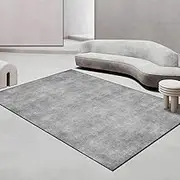 Rugs for Living Room 120 x 120 cm Bedroom Large Dining Room Rug Short Pile Carpet Area Rugs Washable Area Rug Non Slip Modern Light Grey Print