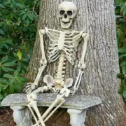Halloween Human Skeleton Oversized Poseable 40cm Size Decoration Party Prop