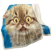 Cute Frightened Kitten Cat Throw Blanket