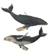 Collecta - Hump Back Whale