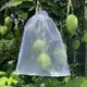 尼龍防蟲網袋水果套袋白色種子袋浸種袋濾網火龍果防果蠅防鳥袋子