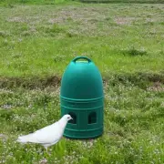 2x Pigeon Drinker Automatic Feeder Bird Water Drinker for Birds Dove Chicken