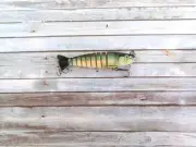 Little Mate Swimbaits Pilly