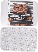 BIUDECO 1pc Cat Floor Mat Non Skid Rug for Funny Cat Pattern Cushion Kitchen Door Mat Funny Cat Pattern Door Carpet Foot Pad Anti-Skid Ground Mat Bathroom Anti-Skid Floor Mat