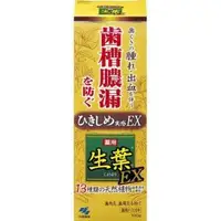 在飛比找O!MyGod購物商城優惠-【箱子】小林製藥 日本 生葉 金色EX護齦牙膏100g