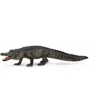 Collecta American Alligator