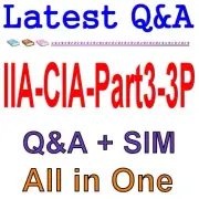 Business Knowledge for Internal Auditing IIA-CIA-Part3-3P Exam Q&A
