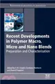 Recent Developments in Polymer Macro, Micro and Nano Blends ― Preparation and Characterisation