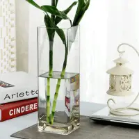 在飛比找momo購物網優惠-【JEN】方形透明玻璃花瓶花器口徑8cm高20cm