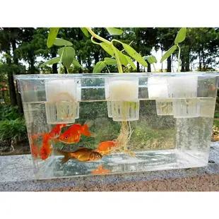 【臺灣特價】送禮物 家庭魚菜共生系統 生態草缸烏龜水族箱 小型透明金魚缸 造景花瓶桌面綠植