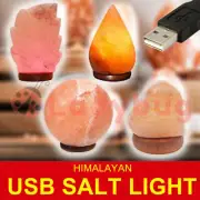 USB Himalayan Pink Rock Salt Lamp | Carved Shape Rocks Light Bulb Decor Lamps